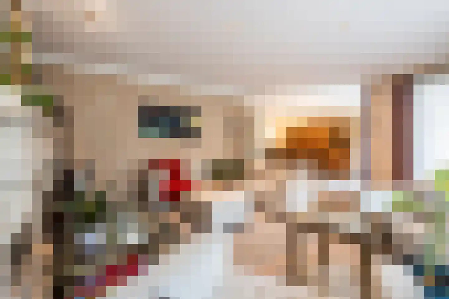 Groot Bedaf 6 Baarle-Nassau thumbnail 8