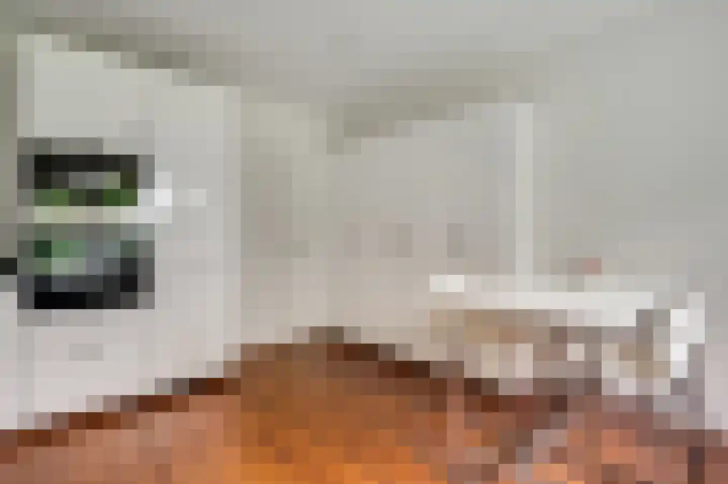 Groot Berghem 17 Ulestraten thumbnail 10