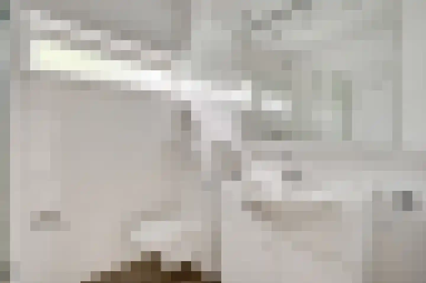 Groot Berghem 17 Ulestraten thumbnail 16