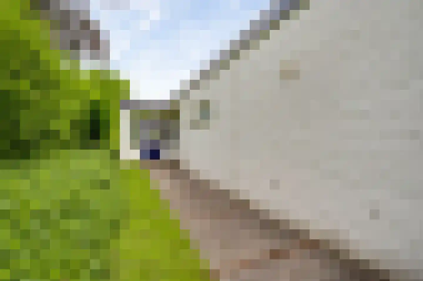 Groot Berghem 17 Ulestraten thumbnail 20