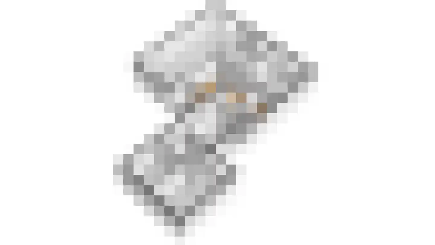 Groot Berghem 17 Ulestraten thumbnail 24