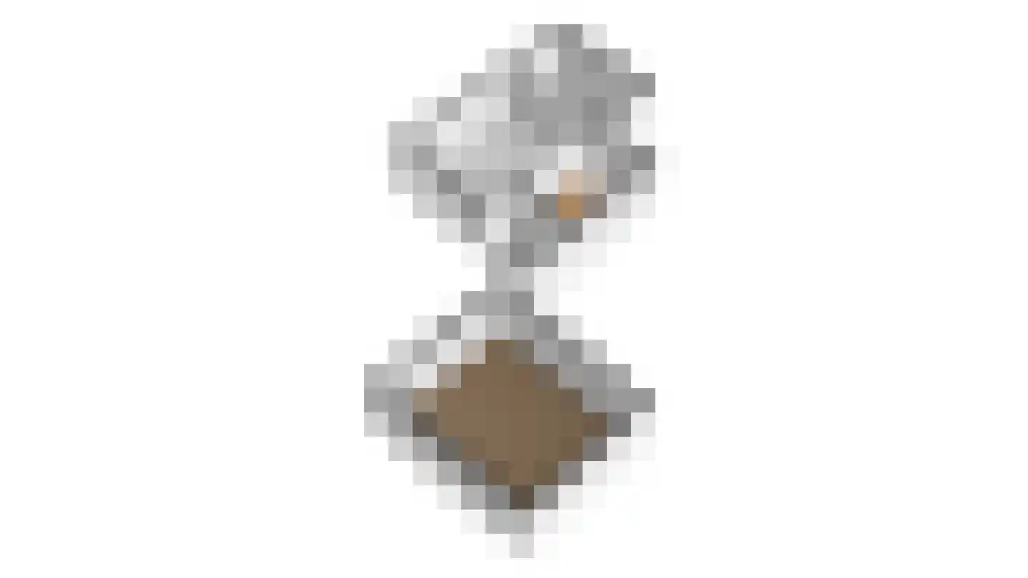 Groot Berghem 17 Ulestraten thumbnail 26
