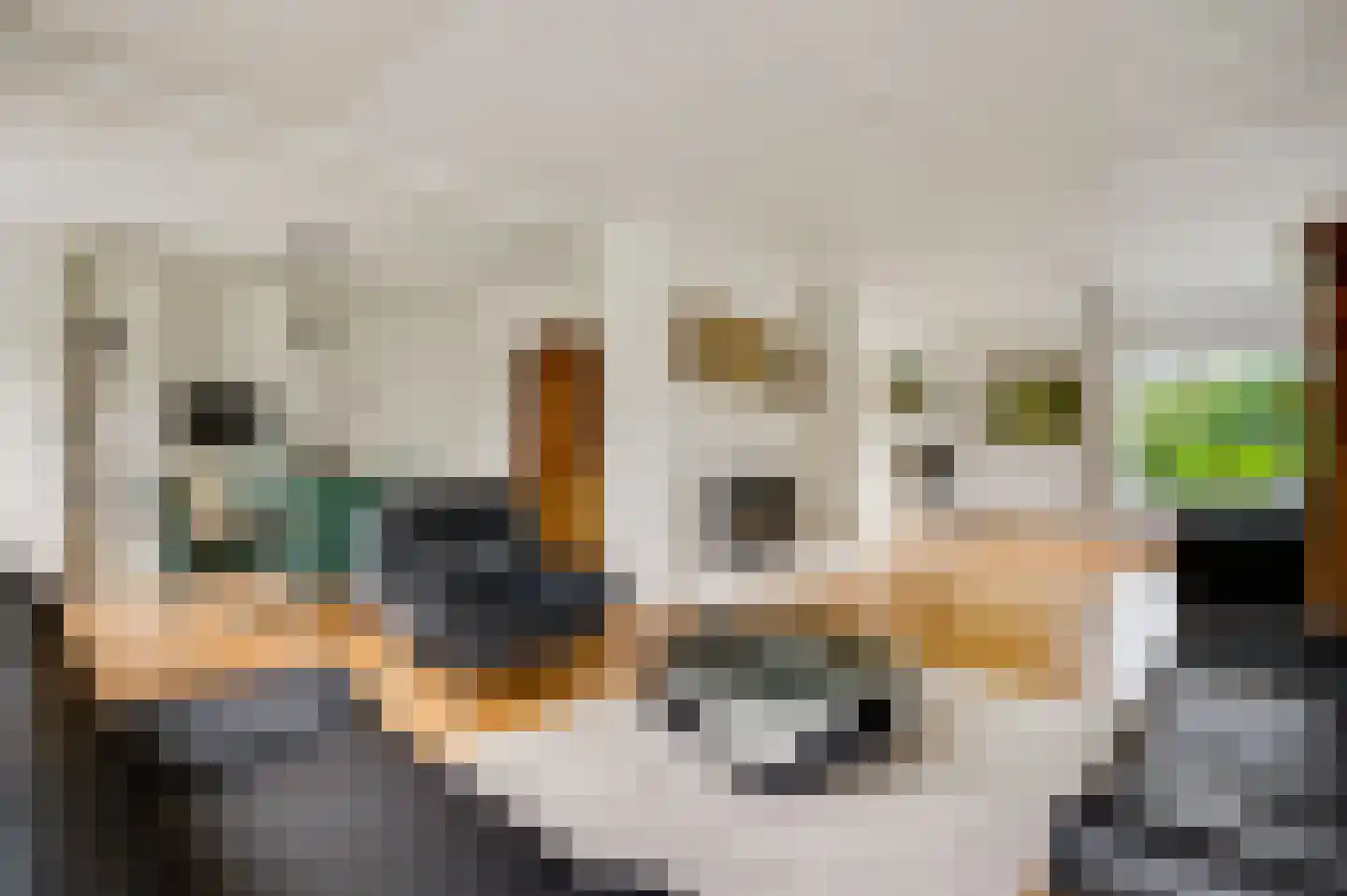 Groot Berghem 17 Ulestraten thumbnail 7