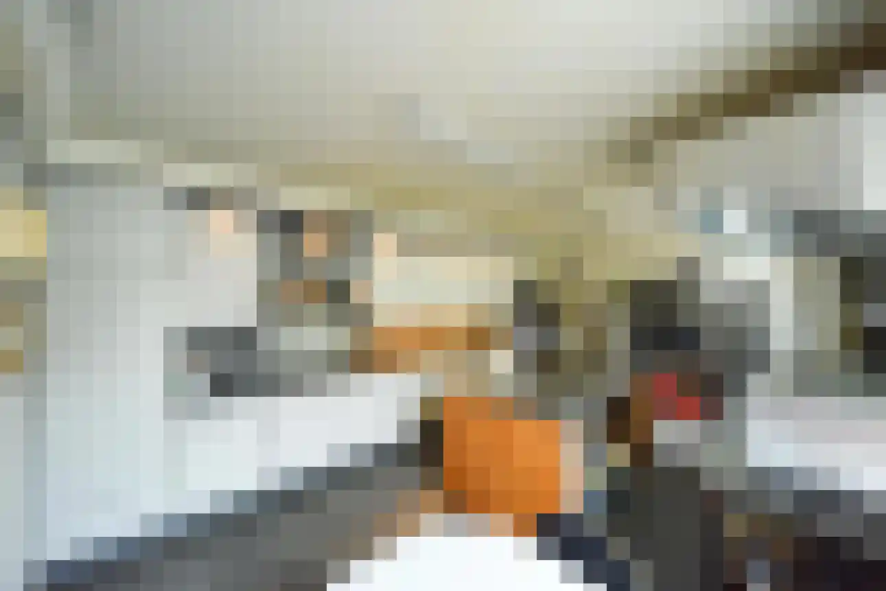 Groot Berghem 2 Ulestraten thumbnail 13