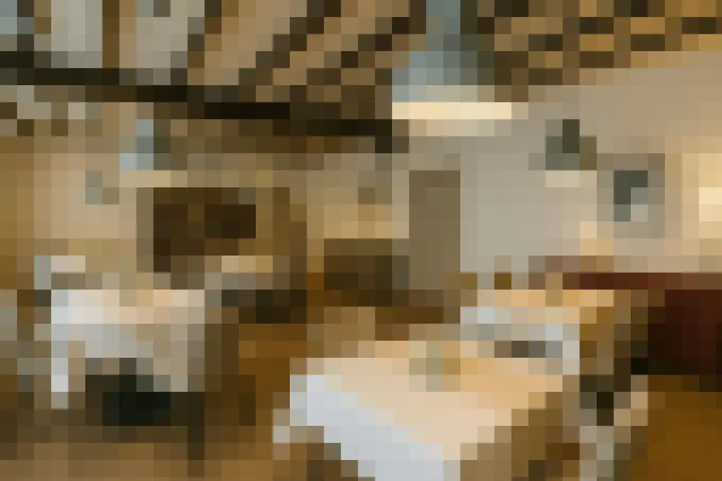 Groot Berghem 2 Ulestraten thumbnail 9