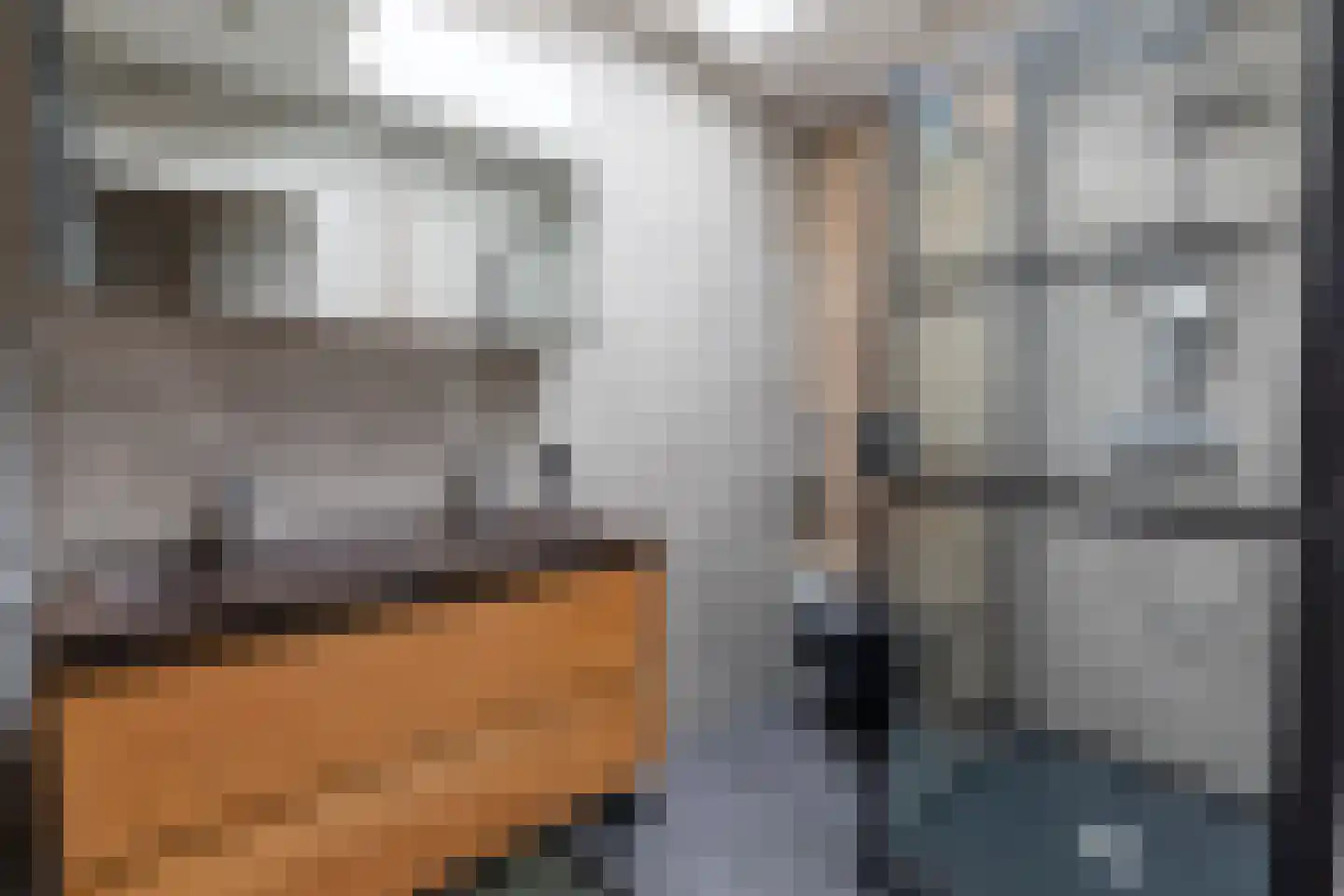 Groot Berghem 57 Ulestraten thumbnail 17