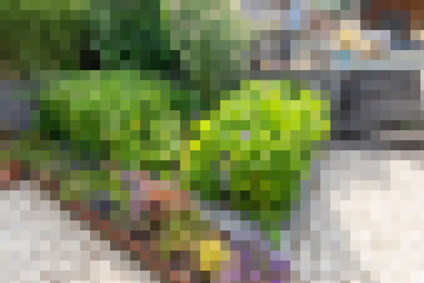 Groot Berghem 57 Ulestraten thumbnail 25