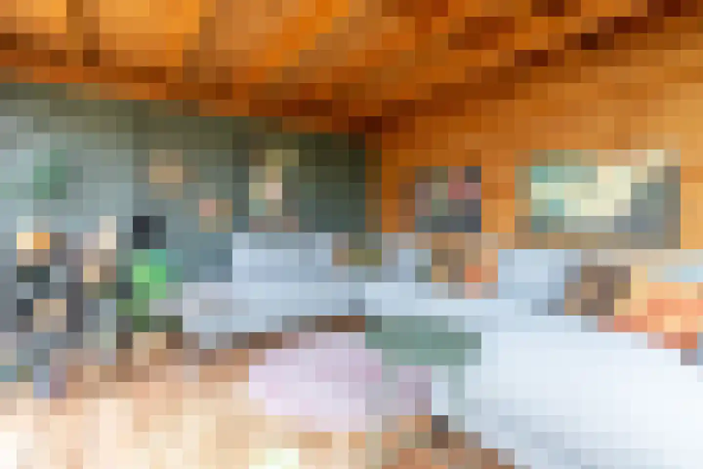 Groot Berghem 57 Ulestraten thumbnail 29