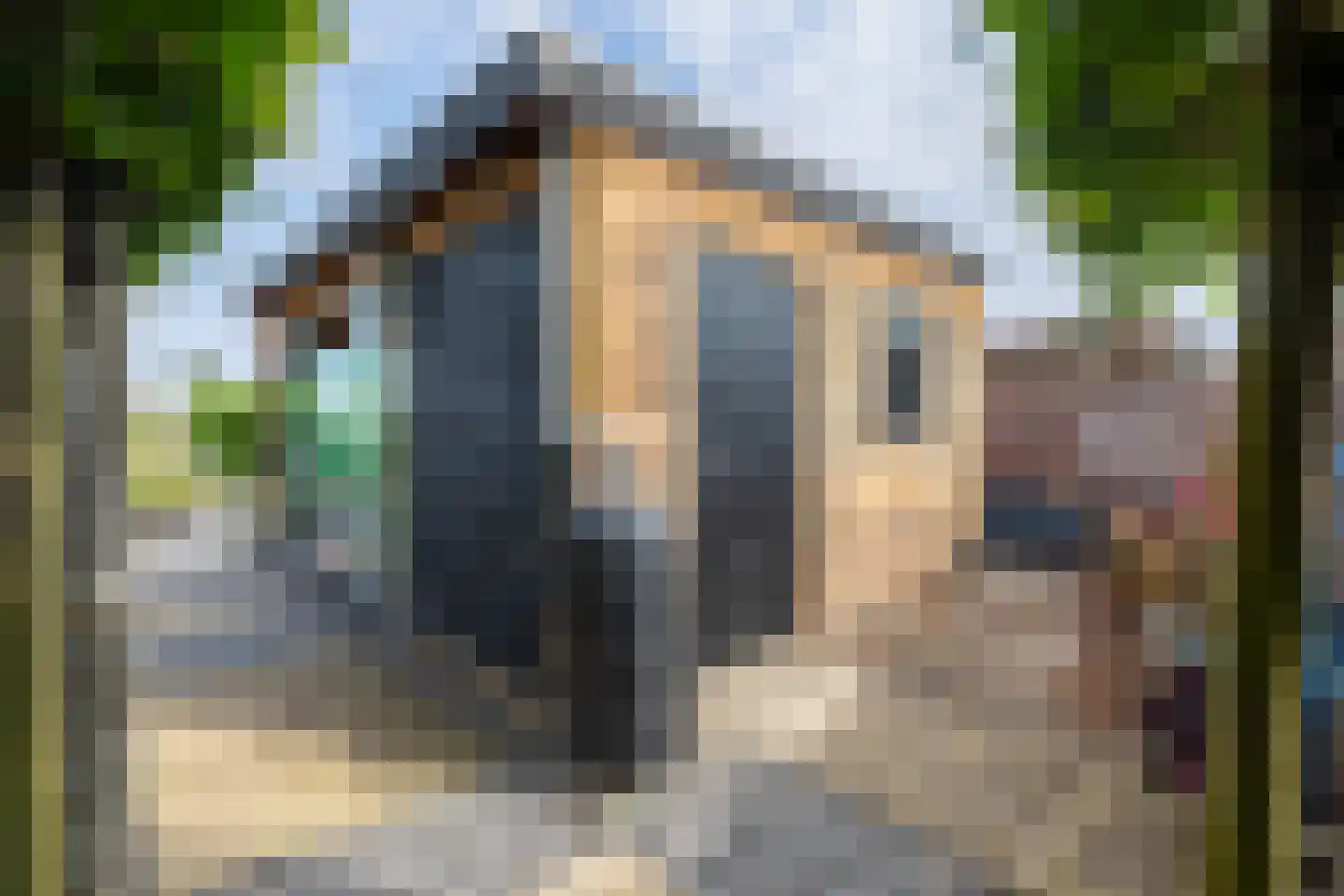 Groot Berghem 57 Ulestraten thumbnail 30