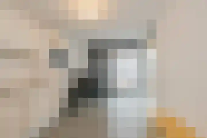 Groot Berkenbos 10 IJmuiden thumbnail 12