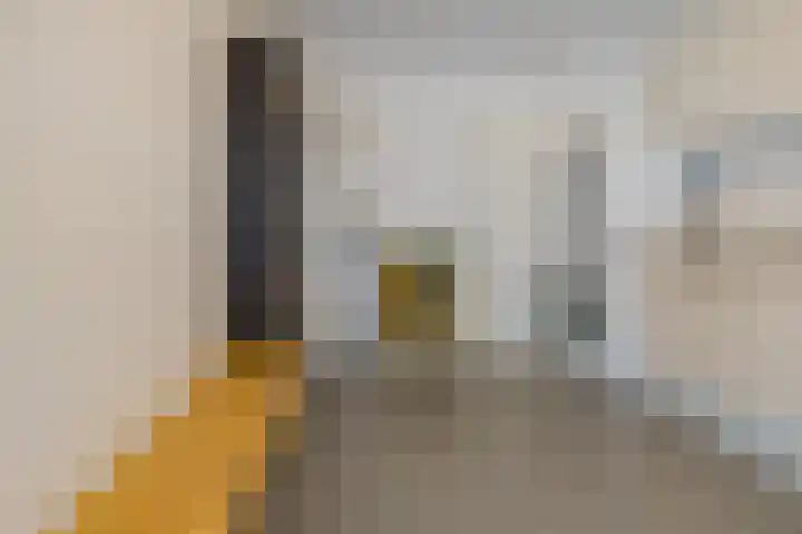 Groot Berkenbos 10 IJmuiden thumbnail 13