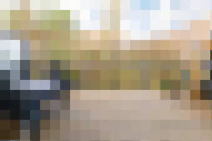 Groot Berkenbos 10 IJmuiden thumbnail 24