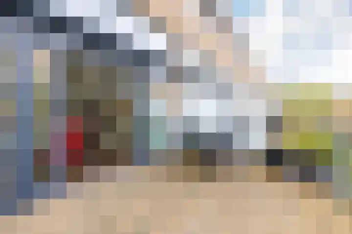 Groot Berkenbos 10 IJmuiden thumbnail 25