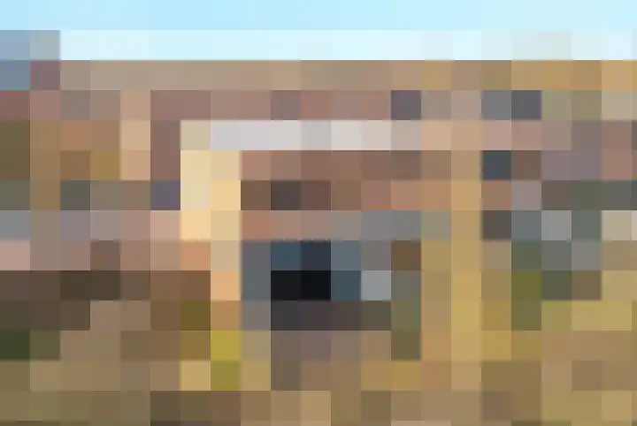 Groot Berkenbos 10 IJmuiden thumbnail 6