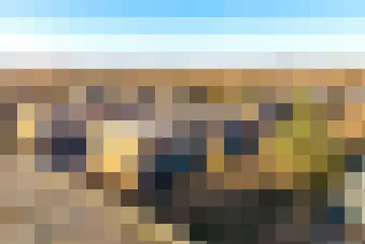 Groot Berkenbos 10 IJmuiden thumbnail 7