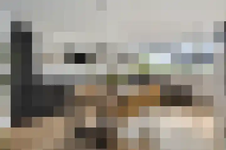Groot Berkenbos 24 IJmuiden thumbnail 11
