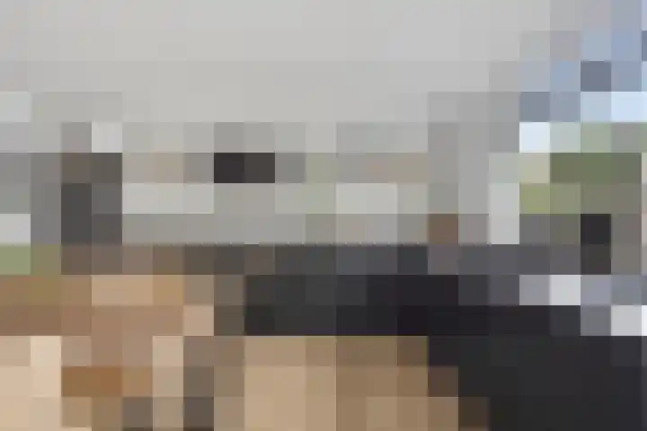 Groot Berkenbos 24 IJmuiden thumbnail 12