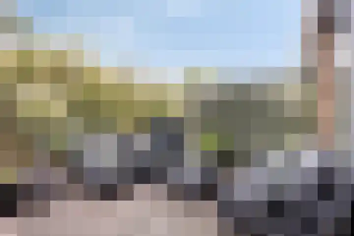 Groot Berkenbos 24 IJmuiden thumbnail 18