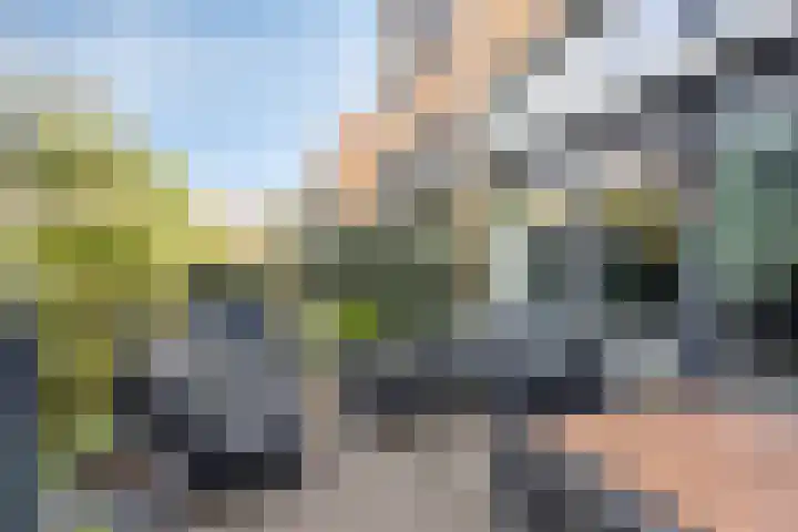Groot Berkenbos 24 IJmuiden thumbnail 20