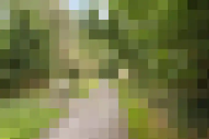 Groot Berkenbos 24 IJmuiden thumbnail 32