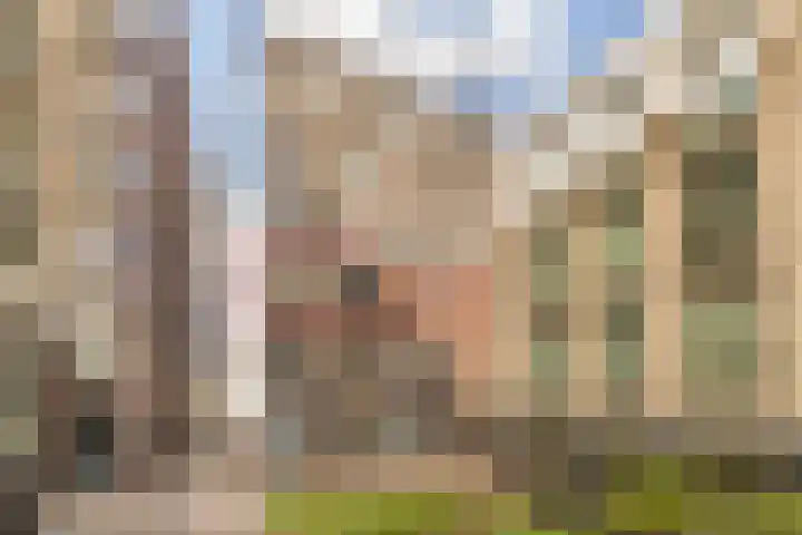 Groot Bethlehem 25 Nijmegen thumbnail 29