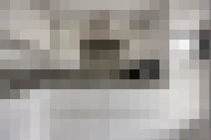 Groot-Bijgaardenlaan 117 Eindhoven thumbnail 13