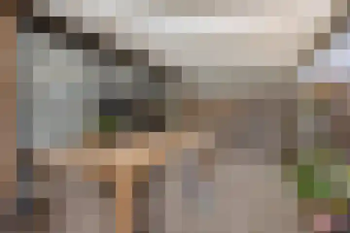 Groot-Bijgaardenlaan 117 Eindhoven thumbnail 29