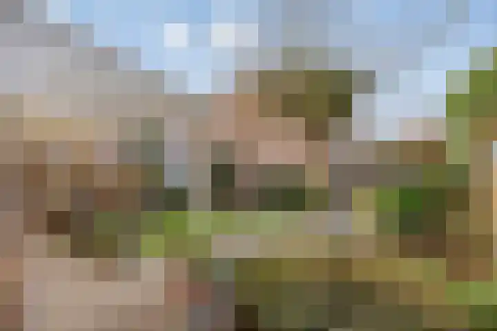 Groot-Bijgaardenlaan 117 Eindhoven thumbnail 30