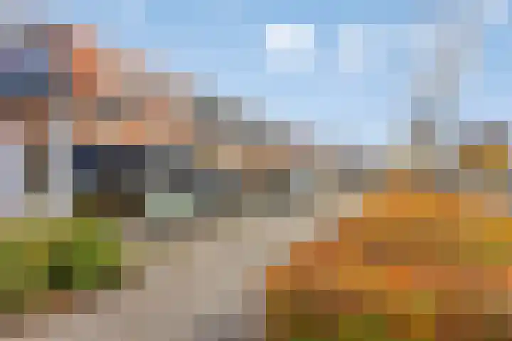 Groot-Bijgaardenlaan 117 Eindhoven thumbnail 37