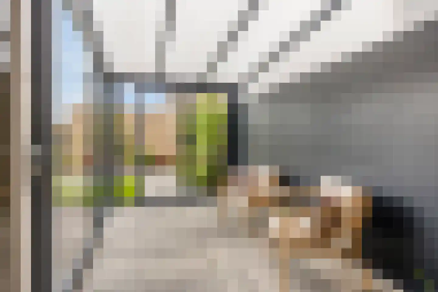 Groot-Bijgaardenlaan 131 Eindhoven thumbnail 21