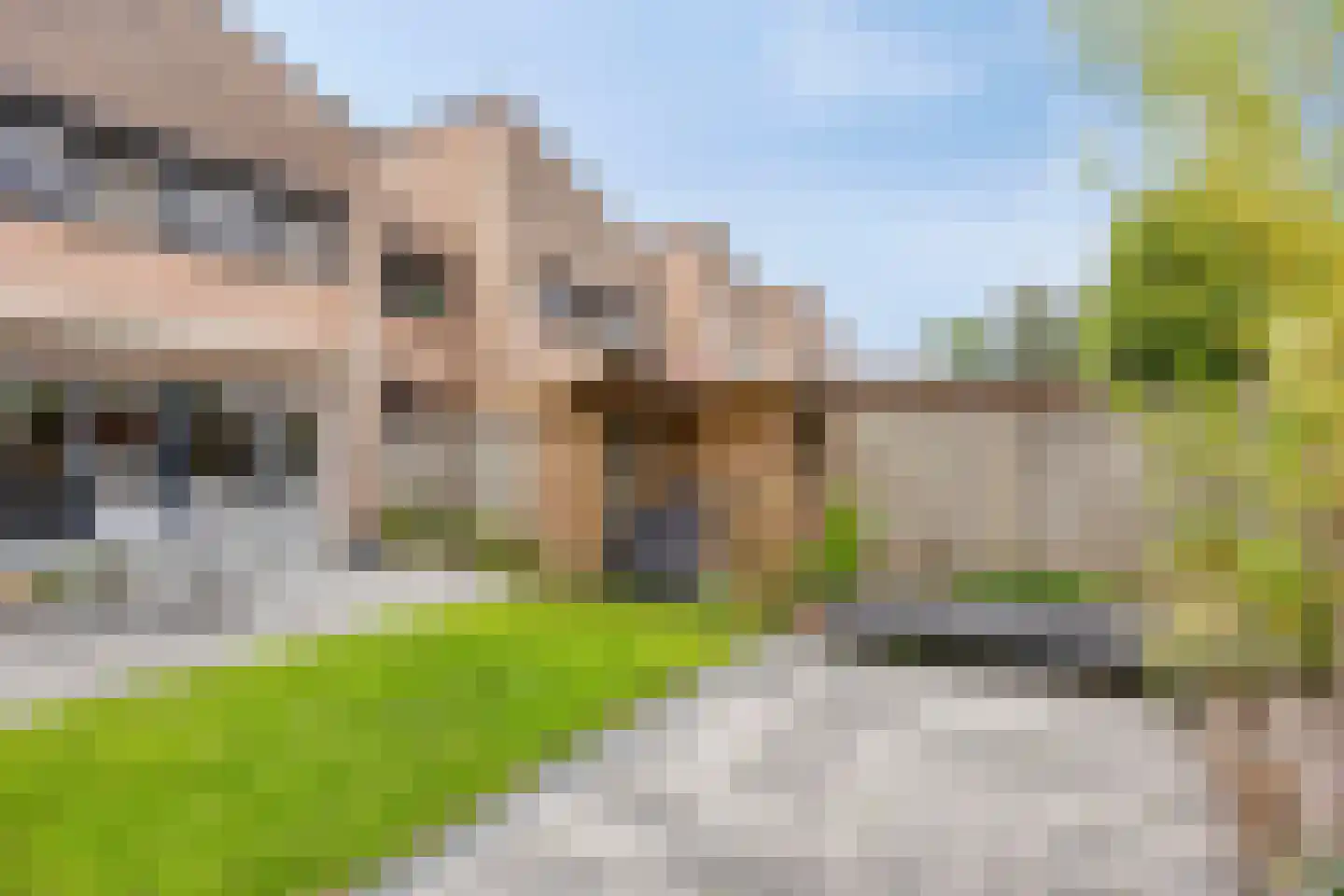 Groot-Bijgaardenlaan 131 Eindhoven thumbnail 36