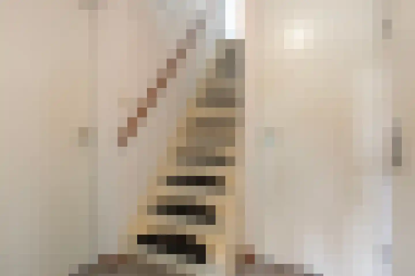 Groot-Bijgaardenlaan 24 Eindhoven thumbnail 8