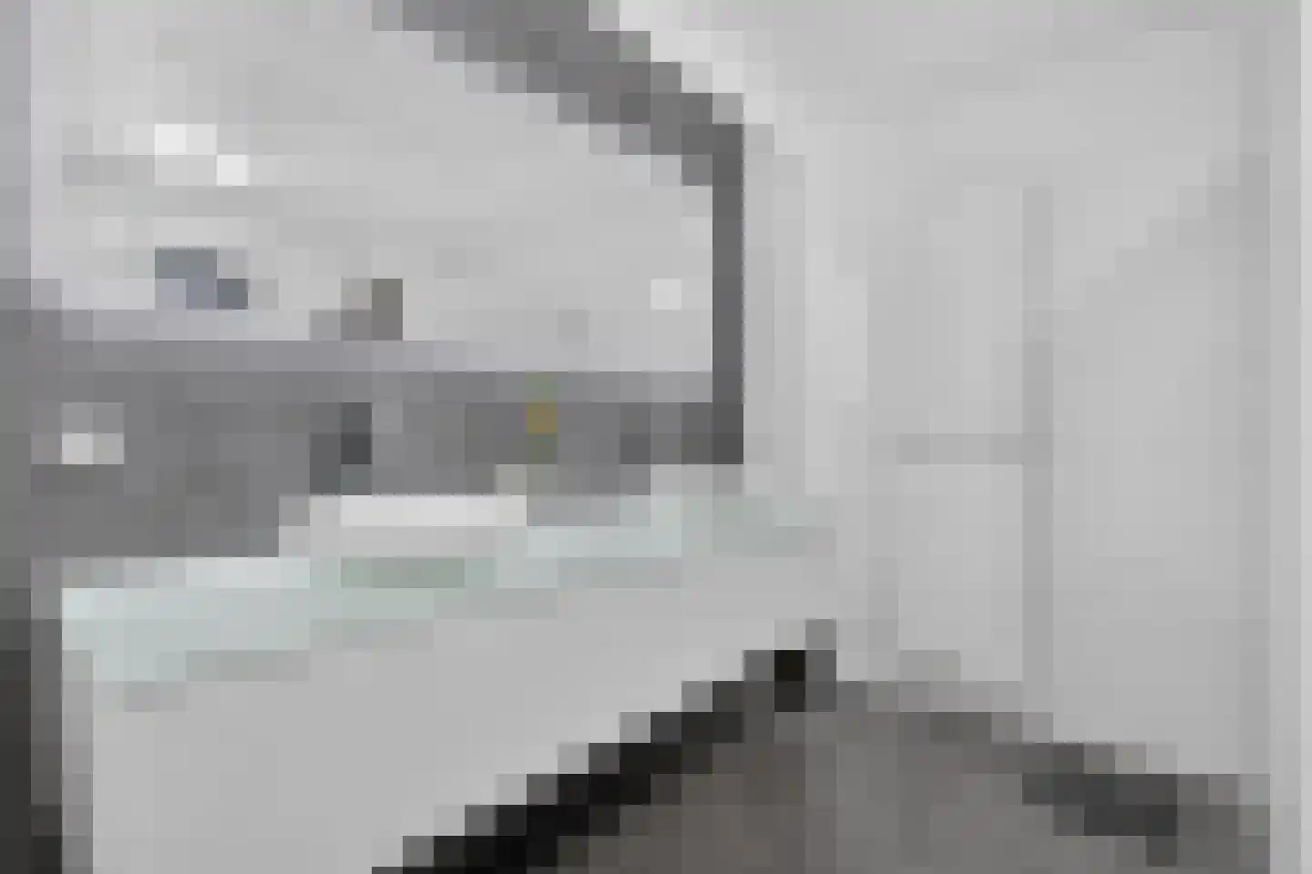 Groot-Bijgaardenlaan 26 Eindhoven thumbnail 32
