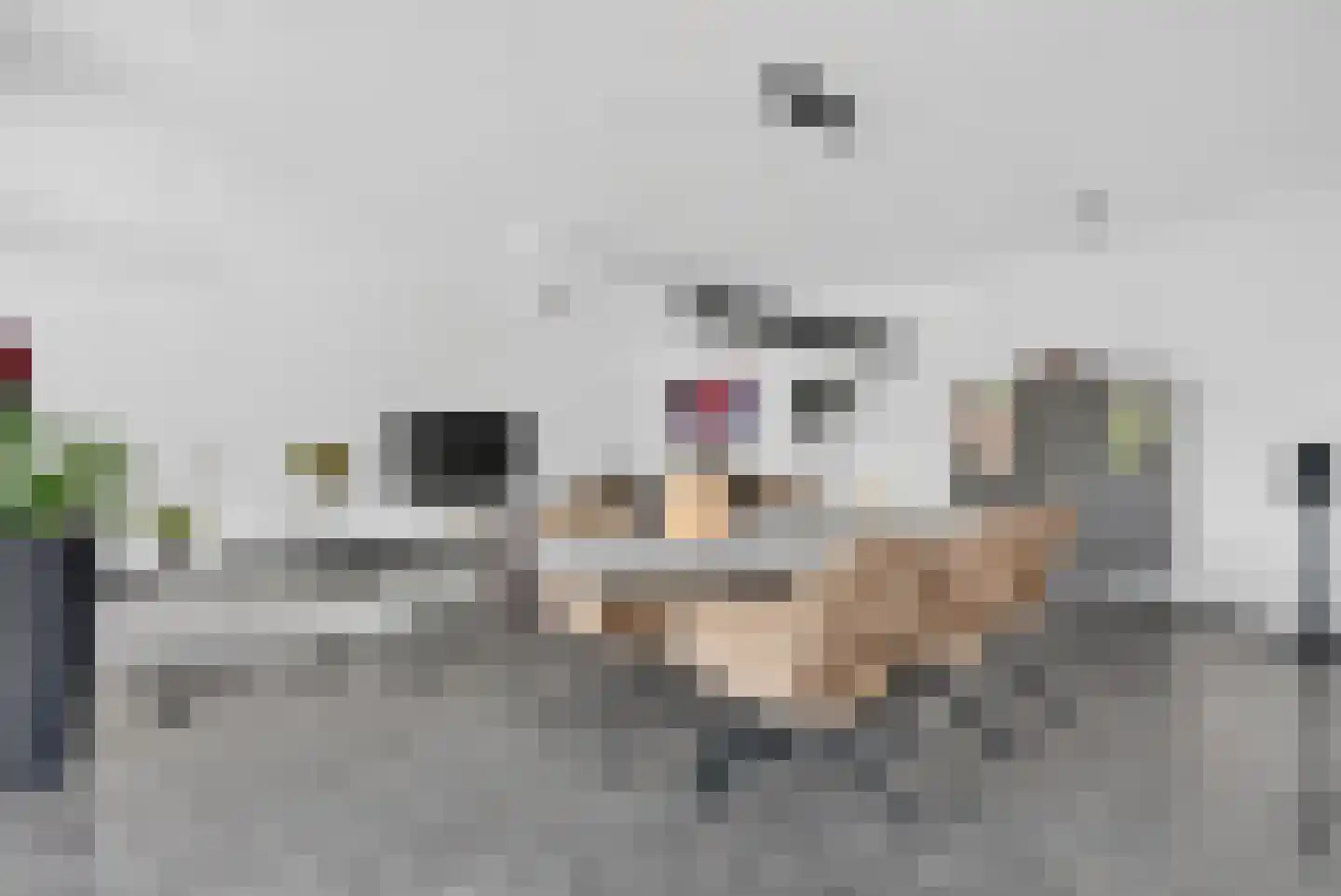 Groot-Bijgaardenlaan 26 Eindhoven thumbnail 8