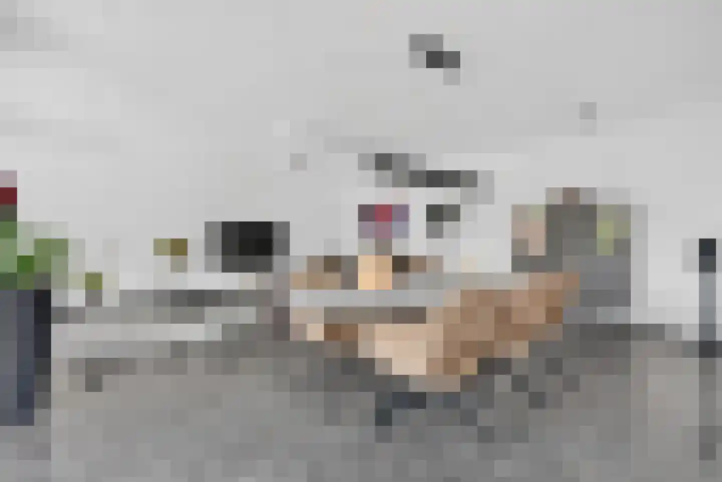 Groot-Bijgaardenlaan 26 Eindhoven thumbnail 8