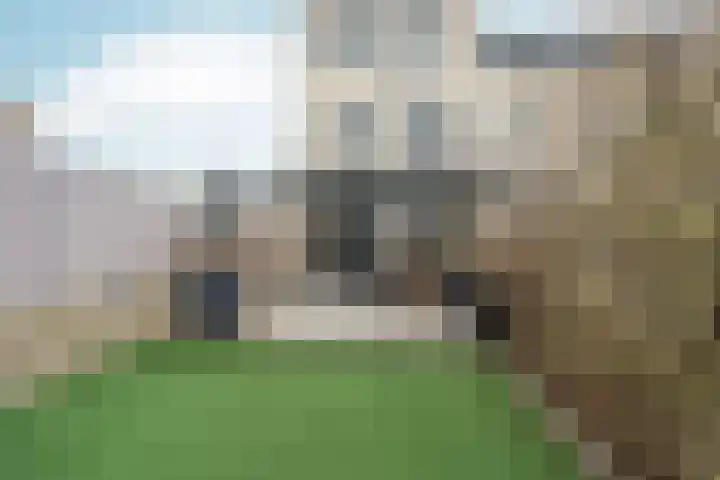 Groot-Brittanniëstraat 72 Lent thumbnail 39