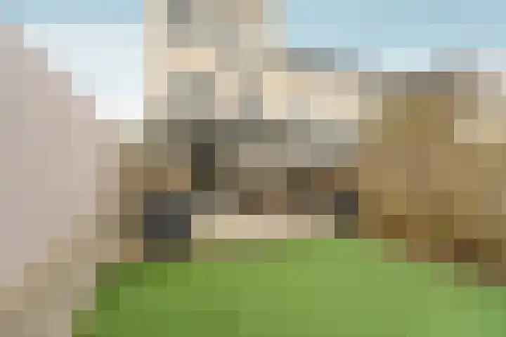 Groot-Brittanniëstraat 72 Lent thumbnail 5