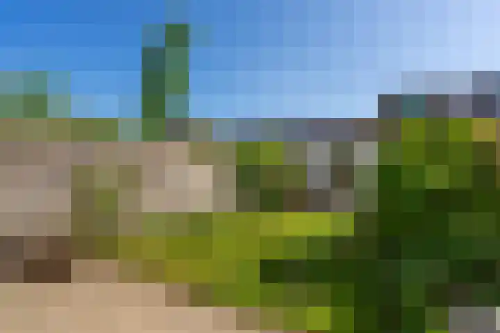 Groot-Brittanniëstraat 84 Lent thumbnail 4