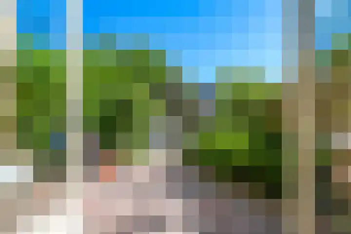 Groot-Brittanniëstraat 90 Lent thumbnail 4