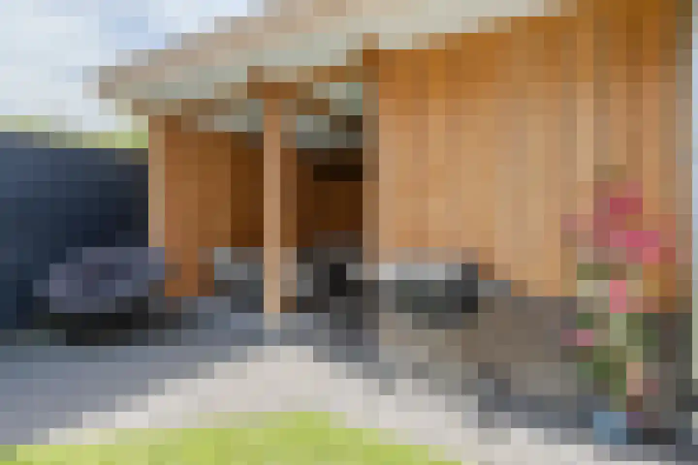 Groot Butselaarlaan 8 Barneveld thumbnail 36