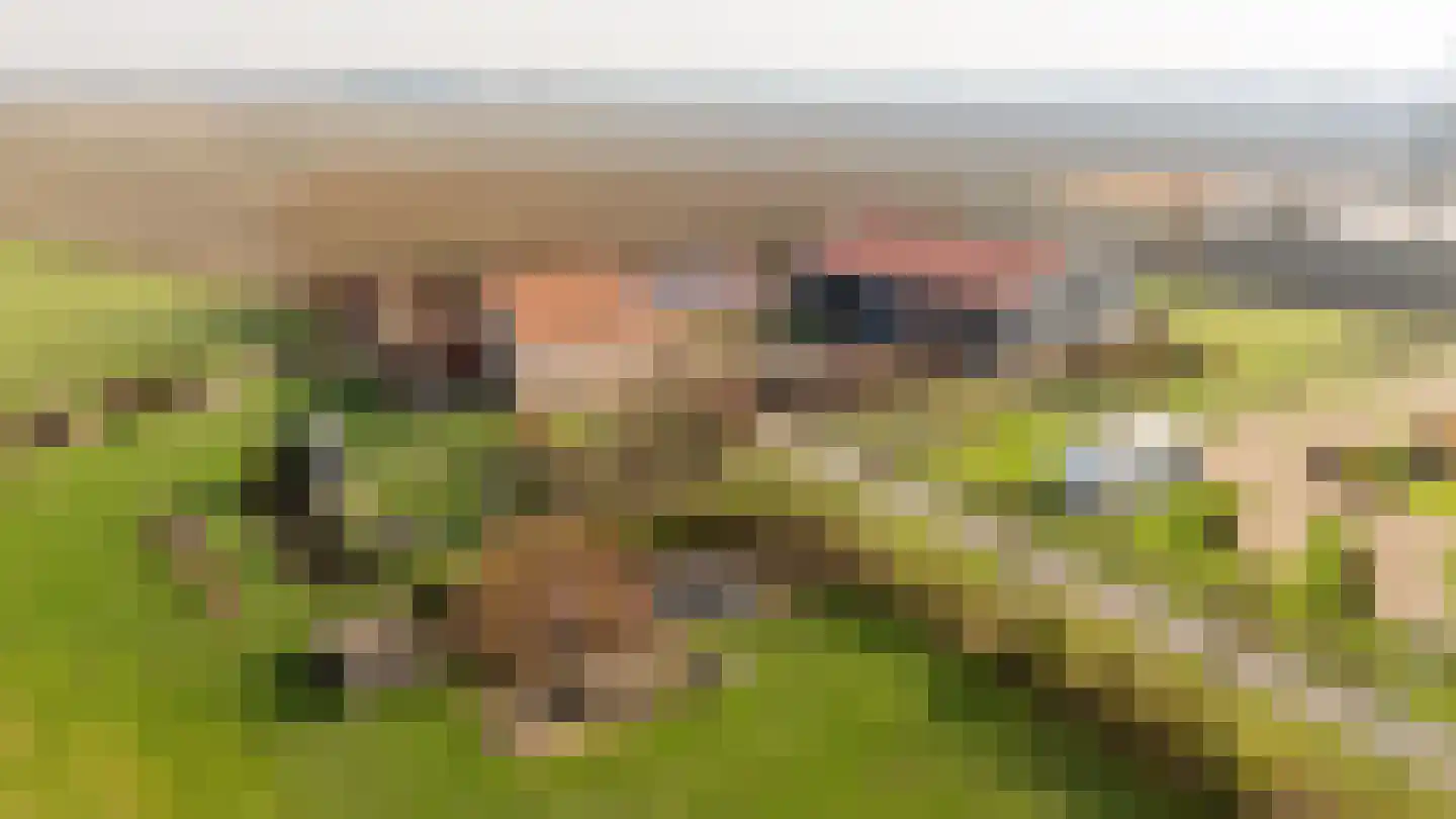 Groot Cambrondijk 13 in Vogelwaarde