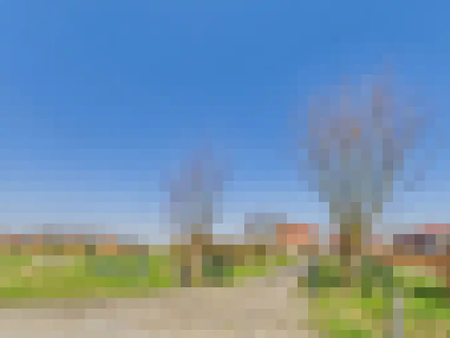 Groot Cambrondijk 13 Vogelwaarde thumbnail 33