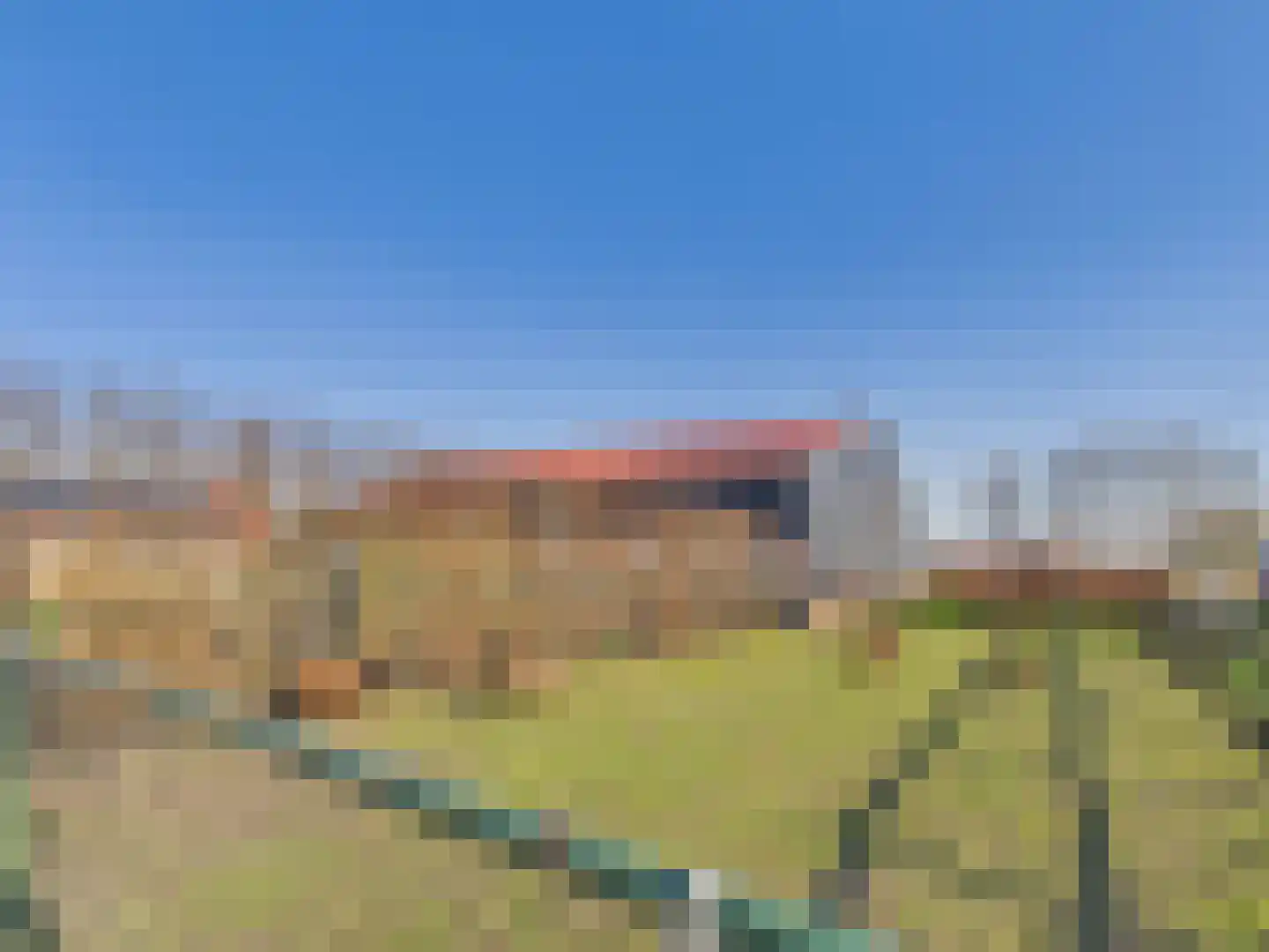 Groot Cambrondijk 13 Vogelwaarde thumbnail 35