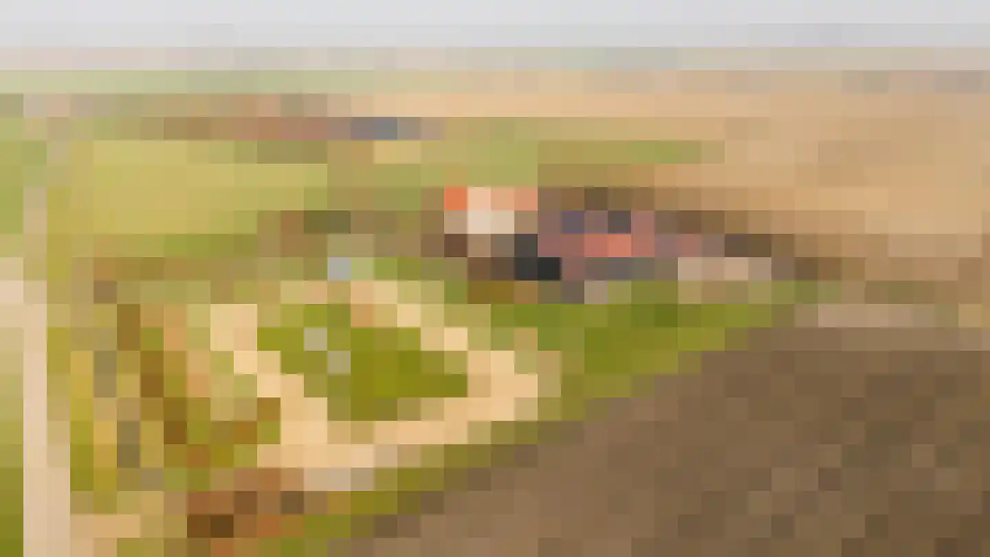 Groot Cambrondijk 13 Vogelwaarde thumbnail 4