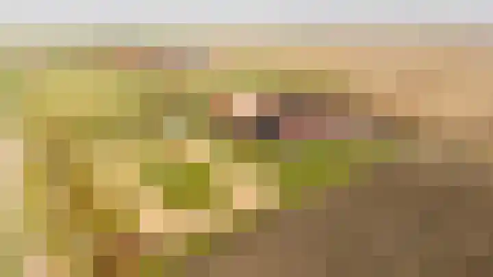 Groot Cambrondijk 13 Vogelwaarde thumbnail 4