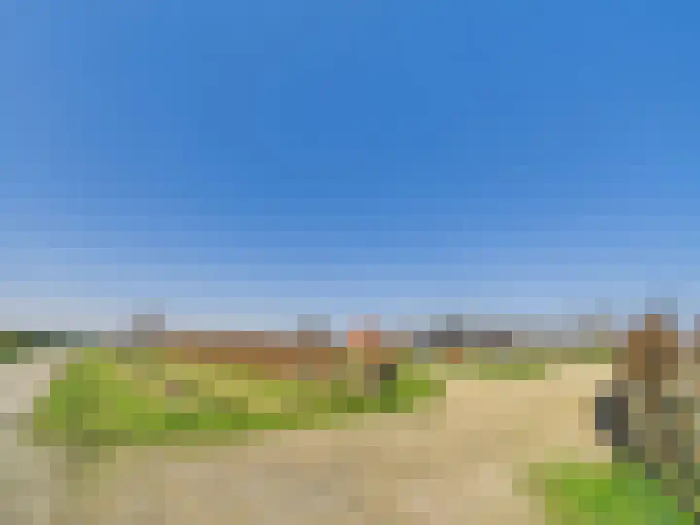 Groot Cambrondijk 13 Vogelwaarde thumbnail 45