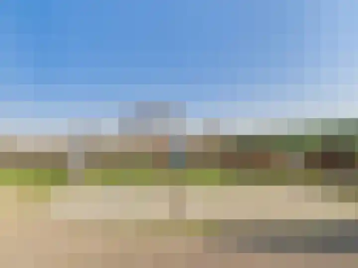Groot Cambrondijk 13 Vogelwaarde thumbnail 47