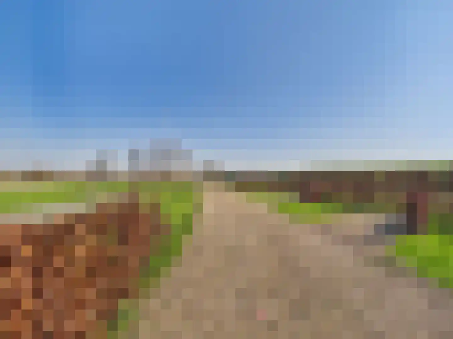 Groot Cambrondijk 13 Vogelwaarde thumbnail 49