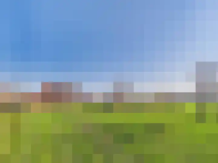 Groot Cambrondijk 13 Vogelwaarde thumbnail 56