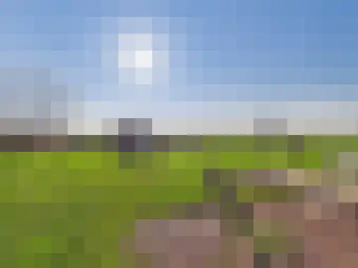 Groot Cambrondijk 13 Vogelwaarde thumbnail 57